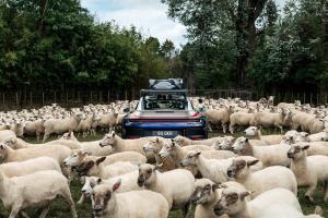 Porsche 911 Dakar in Neuseeland 50 Jahre Porsche Club