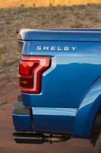 Shelby is back!