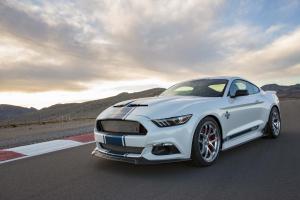 Shelby Super Snake und Shelby Mustang GTE 