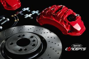 Portrait Special Concepts