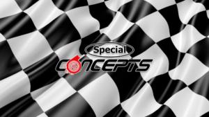 Portrait Special Concepts