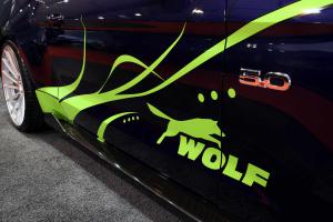 Ford Mustang GT von Wolf Racing