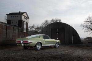 Shelby Mustang GT500 KR von TR Carstyling