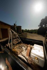 Ford ½ Ton Pick-up „Barrel Nose“