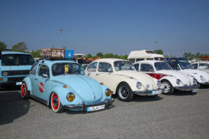 Maikäfertreffen 2019