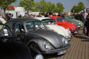 Maikäfertreffen 2019