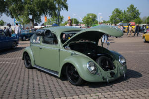 Maikäfertreffen 2019