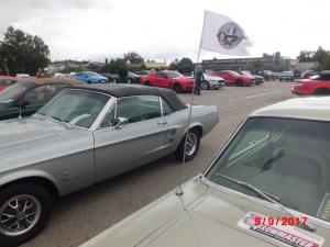 Mustang Meeting Wild Ponies 9.9.2017