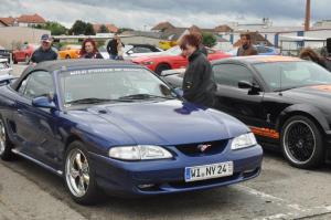 Mustang Meeting Wild Ponies 9.9.2017